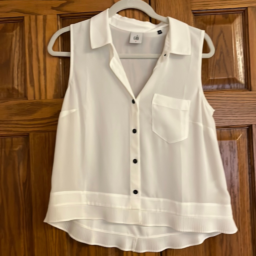 Cabi S Sheer White Top.